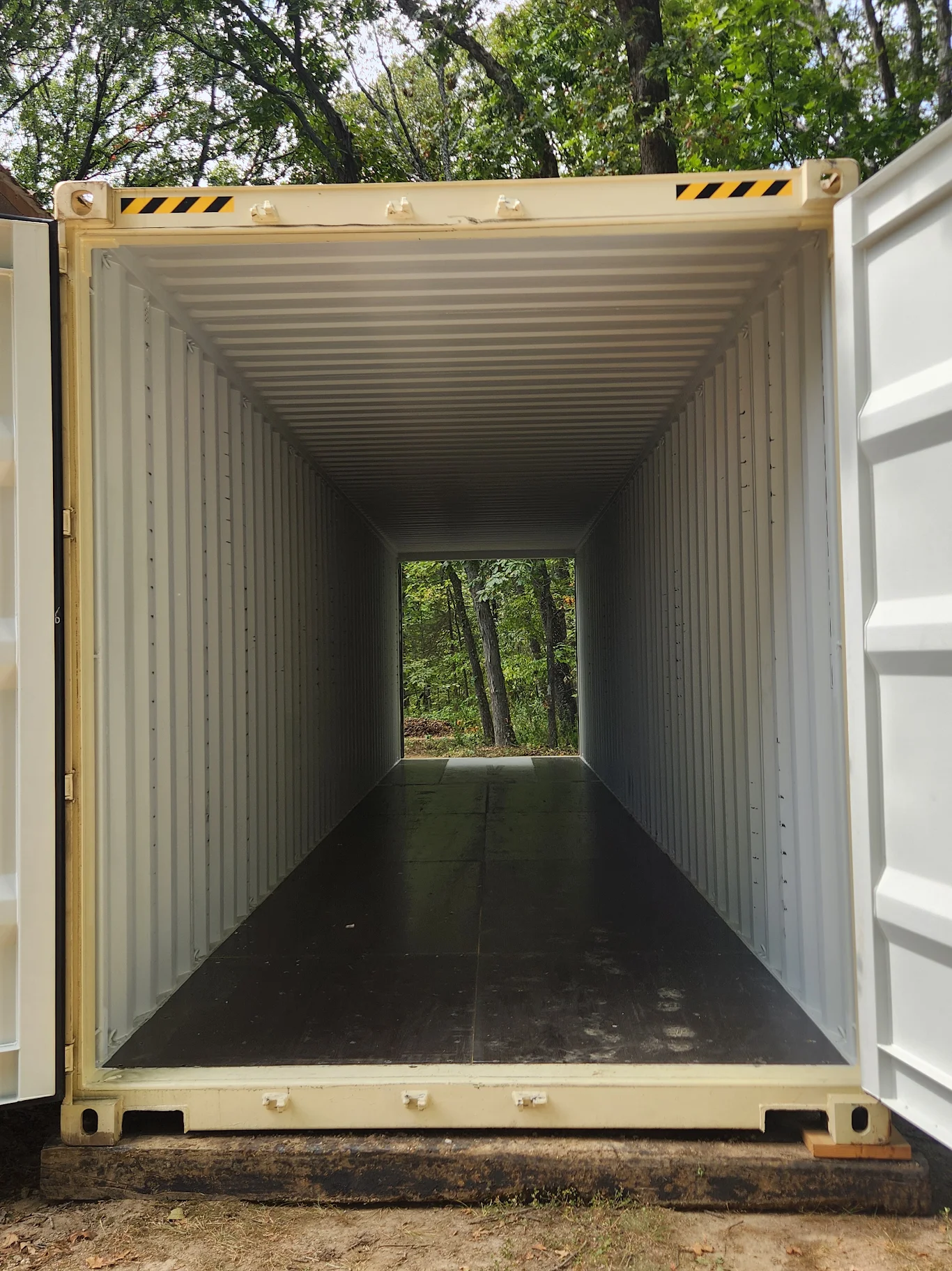 Interior of a shipping container showing its walls, ceiling, flooring, and open cargo doors.